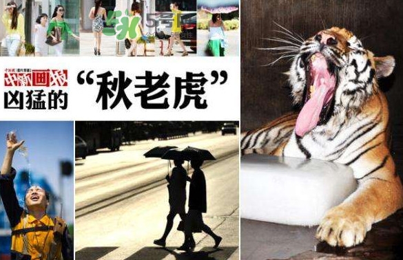 秋老虎有多熱？秋老虎一般是怎么算的？