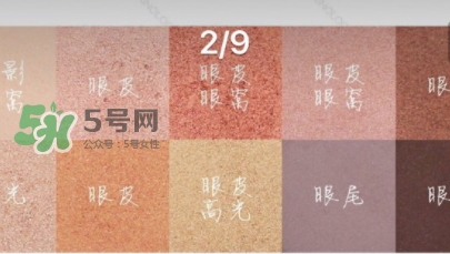 zoeva玫瑰金眼影盤怎么畫？zoeva rose golden畫法教程