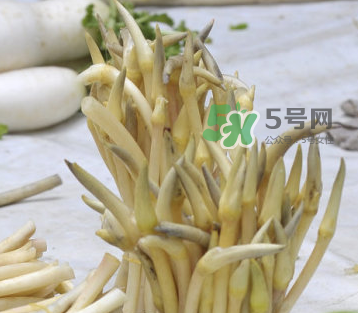 2017年藕帶什么時(shí)候下市？藕帶下市時(shí)間是幾月？