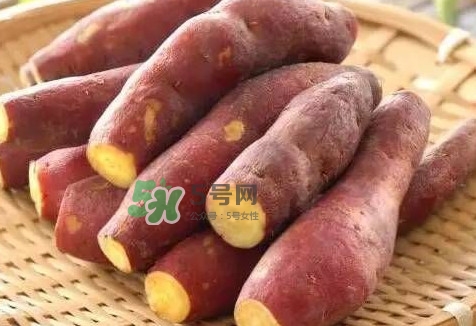 地瓜怎么做好吃？地瓜怎么吃好吃