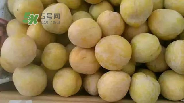 奈李是什么水果？奈李為什么會(huì)空心