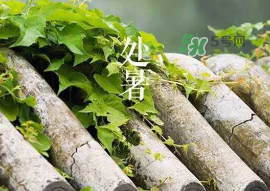 立秋為什么在處暑前？為什么立秋早過處暑？