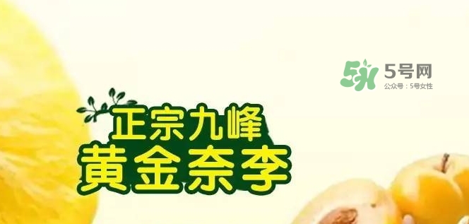 黃金奈李多少錢一斤？黃金奈李價(jià)格