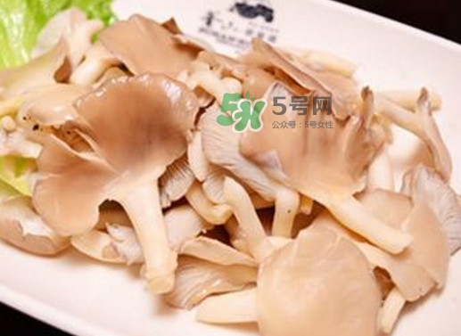 秀珍菇孕婦可以吃嗎？孕婦能吃秀珍菇嗎
