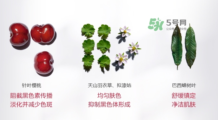 嬌韻詩牛奶水好用嗎？嬌韻詩牛奶水孕婦可以用嗎