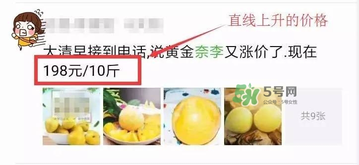 黃金奈李多少錢一斤？黃金奈李價(jià)格