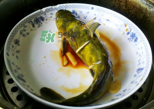 黃刺魚死了能吃嗎？黃刺魚不能與什么同食