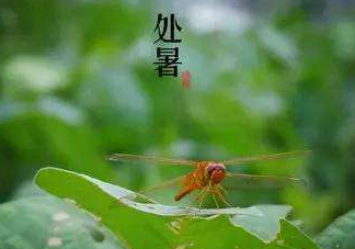 立秋為什么在處暑前？為什么立秋早過處暑？