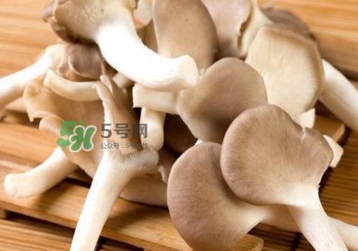 秀珍菇一畝地能種植多少包？秀珍菇如何出菇管理