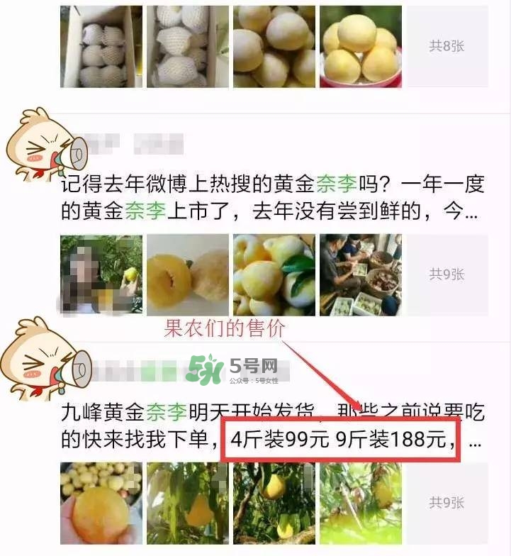 黃金奈李多少錢一斤？黃金奈李價(jià)格
