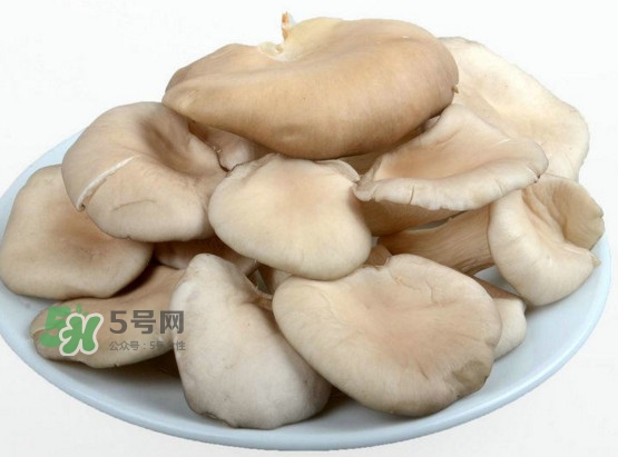 秀珍菇孕婦可以吃嗎？孕婦能吃秀珍菇嗎