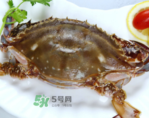 梭子蟹什么時候上市 梭子蟹是幾月份吃最好 梭子蟹什么時候上市 梭子蟹是幾月份吃最好