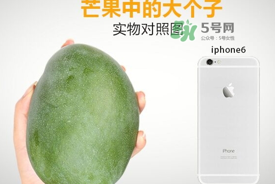 凱特芒果多少錢一斤？凱特芒果價(jià)格