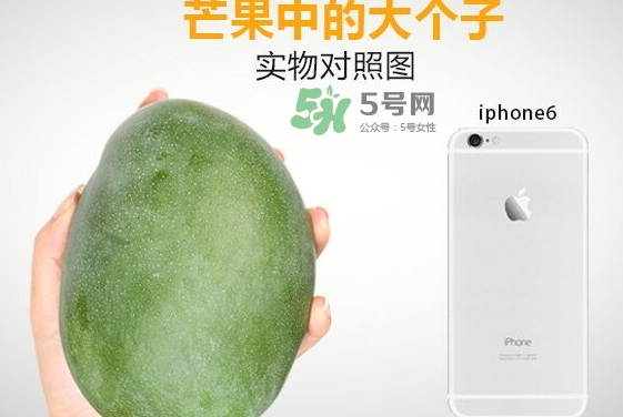凱特芒果什么時(shí)候上市？凱特芒果上市時(shí)間