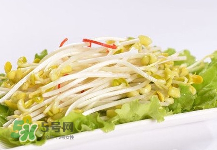 豆芽怎么保存？新鮮豆芽放冰箱能放幾天？