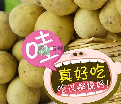 龍宮果多少錢一斤？龍功果價格表