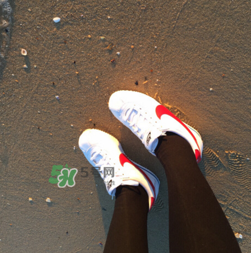 nike cortez jewel皮革版多少錢(qián)？耐克阿甘鞋皮革款價(jià)格