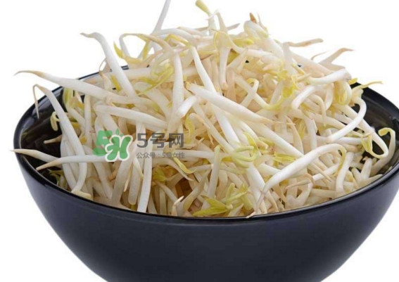 豆芽什么季節(jié)吃？豆芽什么時候有