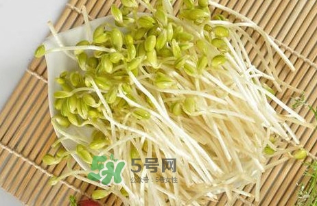豆芽有根好還是無(wú)根好？無(wú)根豆芽與有根豆芽區(qū)別