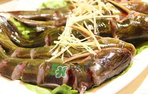 黃蜂魚怎么做好吃？黃蜂魚怎么釣