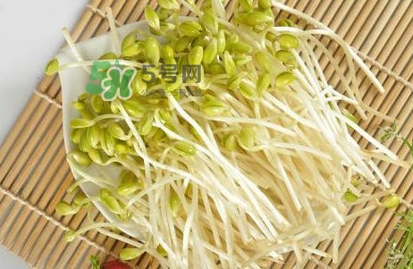 豆芽怎么保存？新鮮豆芽放冰箱能放幾天？