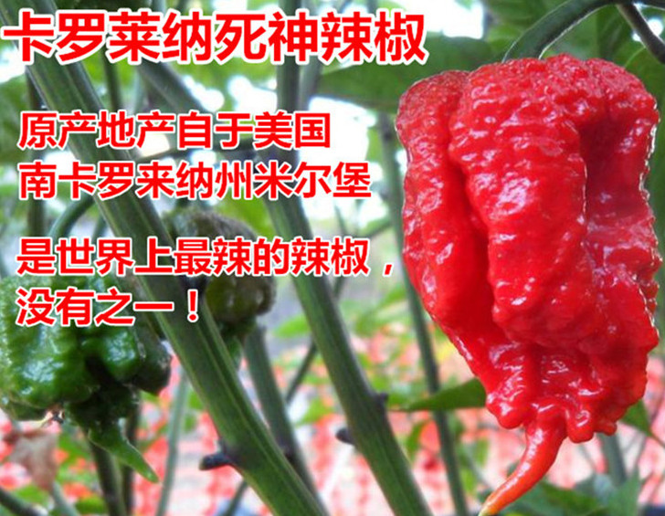 死神辣條多少錢(qián)一盒？死神辣條能吃嗎