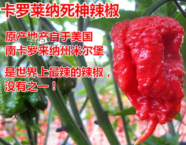 死神辣條哪兒有賣？哪里可以買到死神辣條