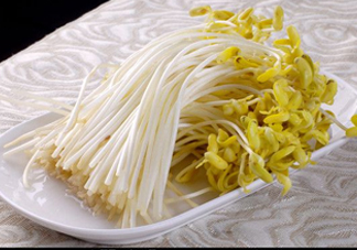 豆芽有綠葉還能吃嗎？豆芽有點(diǎn)爛了還能吃嗎