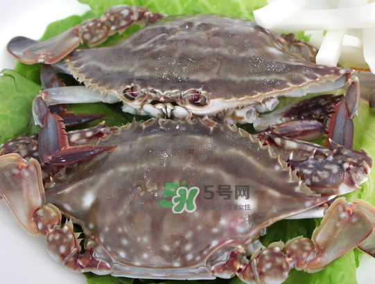 梭子蟹為什么這么貴？梭子蟹和大閘蟹哪個(gè)貴？