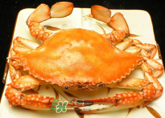 飛蟹什么時(shí)候最肥？飛蟹幾月份最肥？