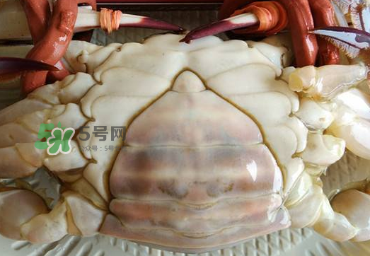 飛蟹多少錢一斤？飛蟹多少錢一斤2017？