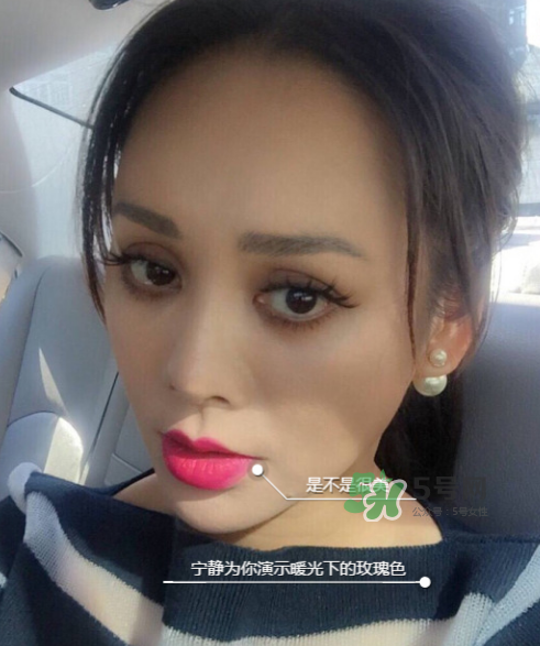 ysl208是什么顏色？ysl208適合黃皮嗎？