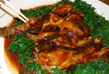 河豚魚怎么吃？河豚魚怎么去毒