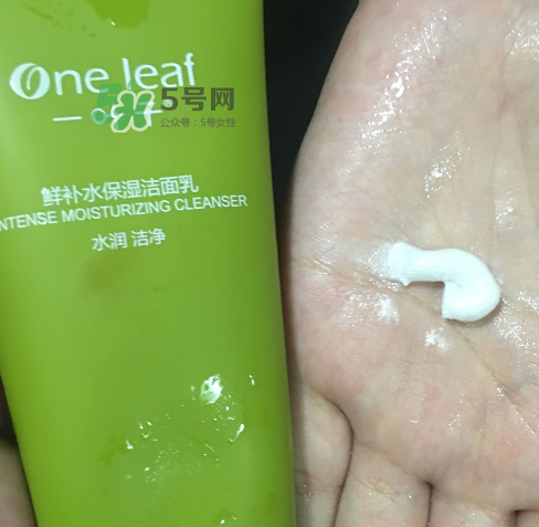 一葉子鮮補水洗面奶怎么樣？一葉子鮮補水潔面乳好用嗎？