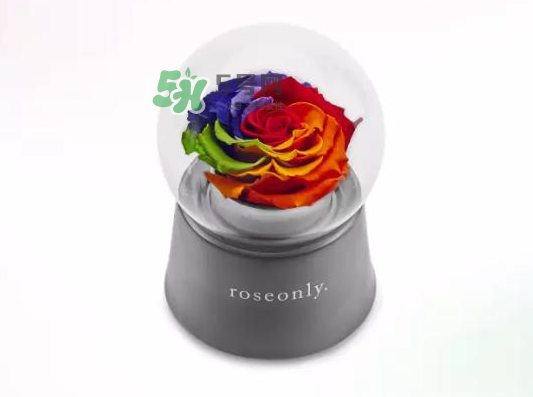 roseonly音樂盒多少錢？roseonly音樂盒歌曲名