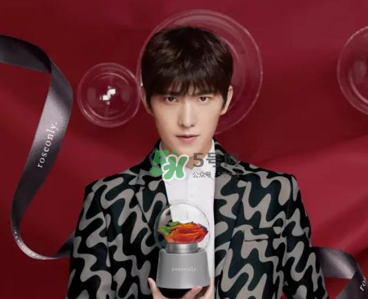 roseonly音樂盒多少錢？roseonly音樂盒歌曲名