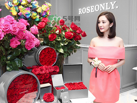 roseonly音樂盒多少錢？roseonly音樂盒歌曲名