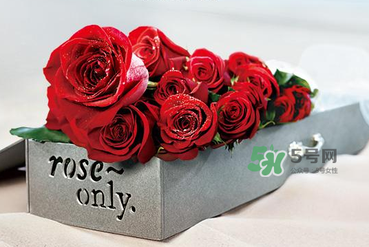 roseonly永生花可以保存多久？roseonly永生花保養(yǎng)