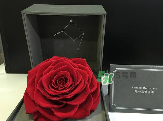 roseonly永生花可以保存多久？roseonly永生花保養(yǎng)