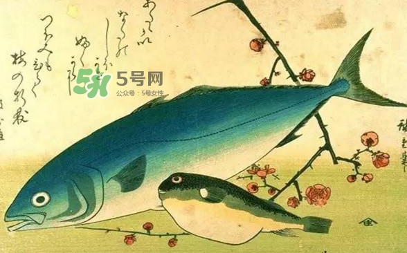 河鲀可以養(yǎng)嗎？河鲀有毒為什么還要吃