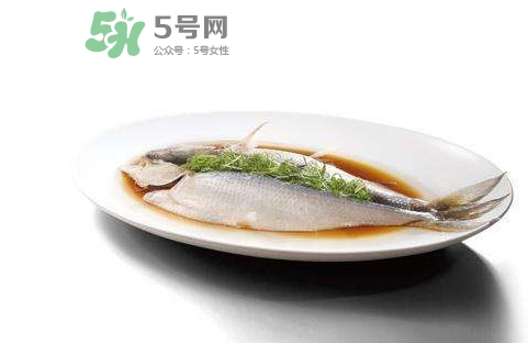 鰣魚還有嗎？長江鰣魚滅絕了嗎