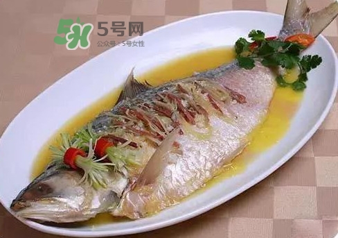 鰣魚怎么讀？鰣魚是什么魚
