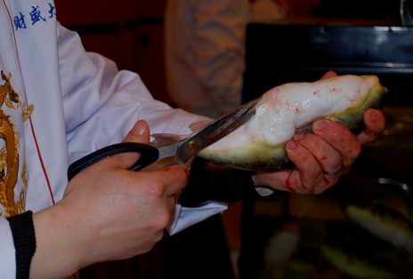 河豚魚怎么吃？河豚魚怎么去毒