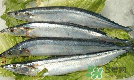 鰣魚和刀魚哪個貴？長江三鮮哪個最貴