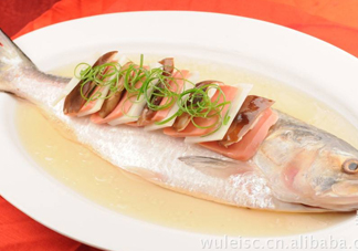 為什么吃清蒸海鰣魚都是半條？鰣魚有什么營養(yǎng)價值