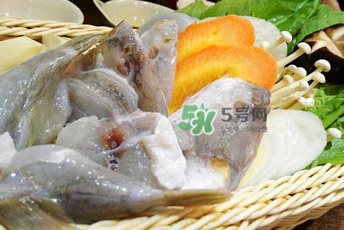河豚可以當(dāng)寵物養(yǎng)嗎？河豚可以用淡水養(yǎng)嗎