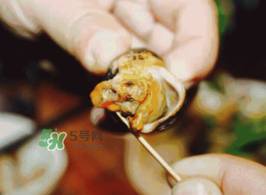 海螺多少錢一斤 海螺要煮多長時(shí)間 海螺多少錢一斤 海螺要煮多長時(shí)間