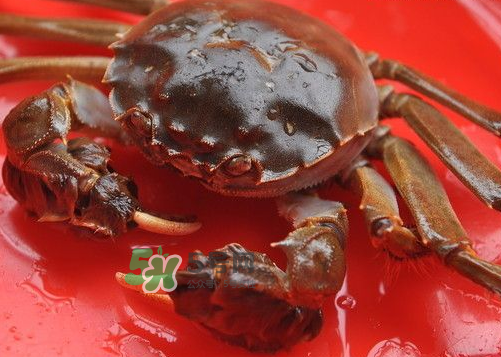 大閘蟹可以帶上高鐵嗎？坐高鐵可以帶大閘蟹嗎？