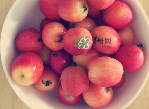 海棠果是涼性的嗎？海棠果是熱性還是涼性