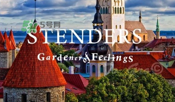 施丹蘭孕婦可以用嗎？stenders施丹蘭懷孕可以用嗎